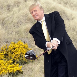 Name:  Trump-Golf.jpg
Views: 226
Size:  47.1 KB