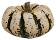 Name:  pumpkin small.png
Views: 657
Size:  34.5 KB