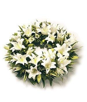 Name:  lilies.jpg
Views: 377
Size:  66.9 KB