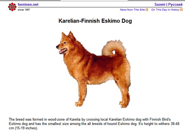 Name:  EskimoDog.jpg
Views: 3563
Size:  43.8 KB