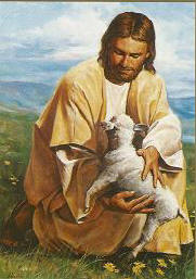 Name:  jesus-lamb1.jpg
Views: 609
Size:  14.5 KB