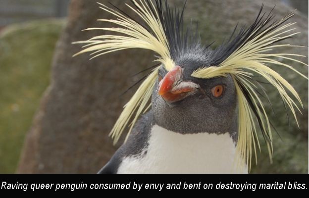 Name:  Penguin gay.jpg
Views: 136
Size:  56.4 KB