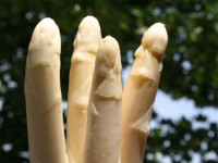 Name:  asperge1213364112.jpg
Views: 3427
Size:  9.0 KB