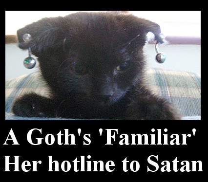 Name:  GothKitten.jpg
Views: 496
Size:  42.7 KB