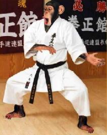 Name:  karate-3.JPG
Views: 8748
Size:  12.7 KB