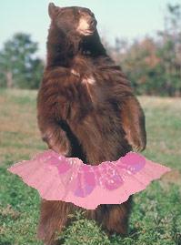 Name:  beartutu.JPG
Views: 90
Size:  11.0 KB