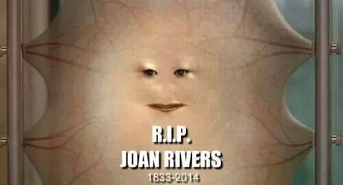 Name:  rip-joan-rivers.JPG
Views: 147
Size:  31.6 KB