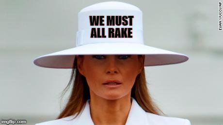 Name:  Melania rake.jpg
Views: 78
Size:  13.4 KB