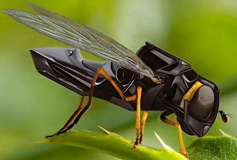 Name:  camera insect 1.jpg
Views: 50
Size:  43.6 KB