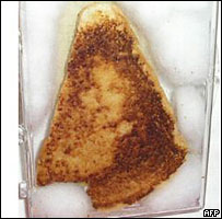 Name:  virgin-mary-toast.jpg
Views: 466
Size:  12.9 KB