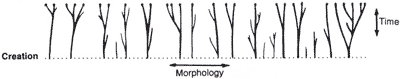 Name:  Creationist_orchard.gif
Views: 422
Size:  5.0 KB