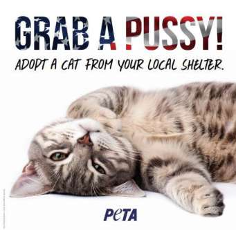 Name:  PETA-pussy.jpg
Views: 278
Size:  16.0 KB