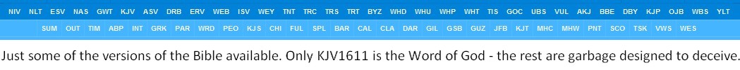Name:  Bible Versions.jpg
Views: 73
Size:  41.2 KB