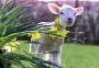 LostLambling