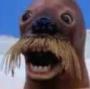 CraterFace