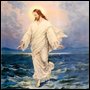 Beamofhope