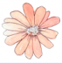 kiley_m