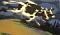 twocalmcows
