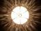 Light Bringer