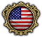 TheVeteran