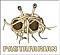 Pastafarian